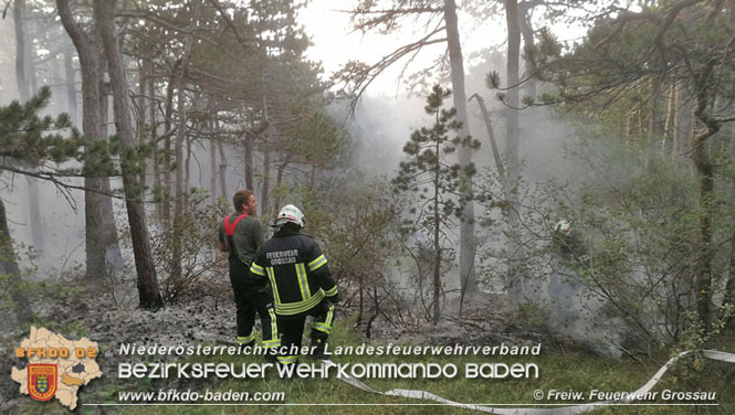 20210914 Waldbrand in Gainfarn im Bereich Mariazeller Zwickl  Foto:  Freiwillige Feuerwehr Grossau