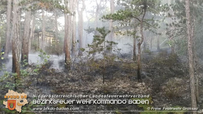 20210914 Waldbrand in Gainfarn im Bereich Mariazeller Zwickl  Foto: © Freiwillige Feuerwehr Grossau