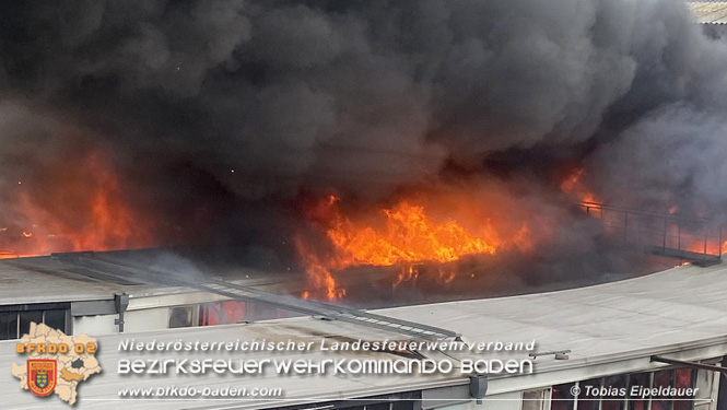 20210921 B4 Großbrand im Gewerbepark Traiskirchen 20210921 B4 Großbrand im Gewerbepark Traiskirchen
