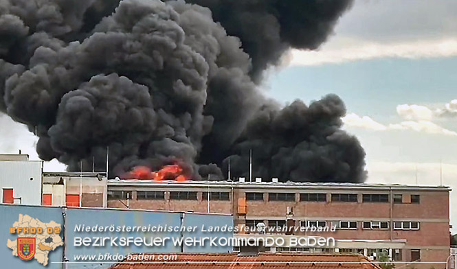 20210921 B4 Großbrand im Gewerbepark Traiskirchen 20210921 B4 Großbrand im Gewerbepark Traiskirchen