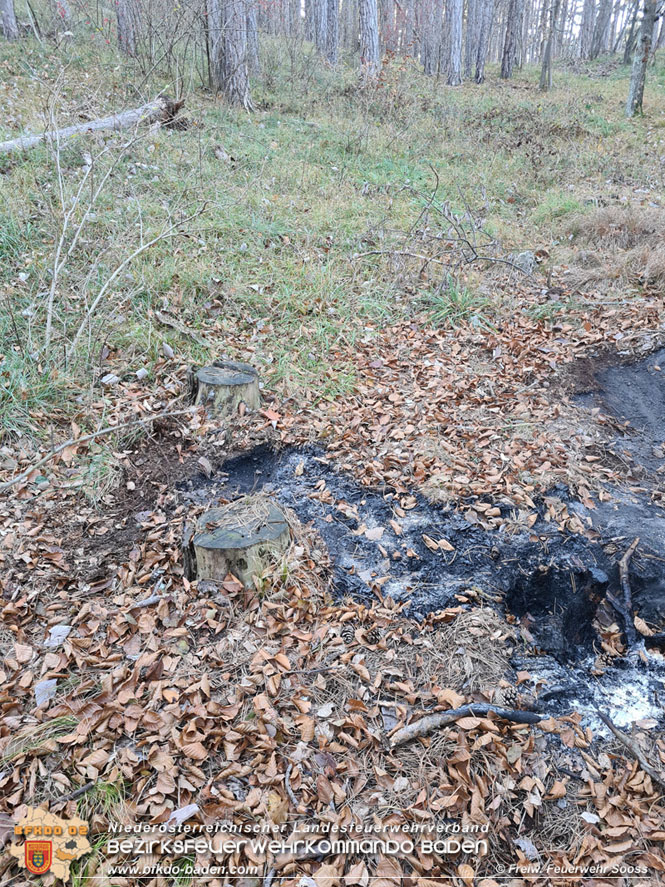 20211121 Waldbrand noch rechtzeitig entdeckt im Gemeindegebiet von Sooß Foto: © Freiwillige Feuerwehr Sooß 20211121 Waldbrand noch rechtzeitig entdeckt im Gemeindegebiet von Sooß Foto: © Freiwillige Feuerwehr Sooß