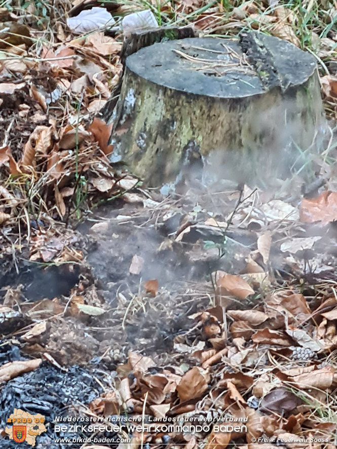 20211121 Waldbrand noch rechtzeitig entdeckt im Gemeindegebiet von Sooß Foto: © Freiwillige Feuerwehr Sooß 20211121 Waldbrand noch rechtzeitig entdeckt im Gemeindegebiet von Sooß Foto: © Freiwillige Feuerwehr Sooß