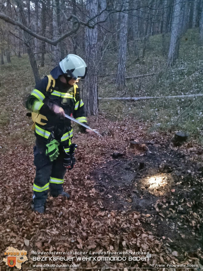 20211121 Waldbrand noch rechtzeitig entdeckt im Gemeindegebiet von Soo  Foto:  Freiwillige Feuerwehr Soo