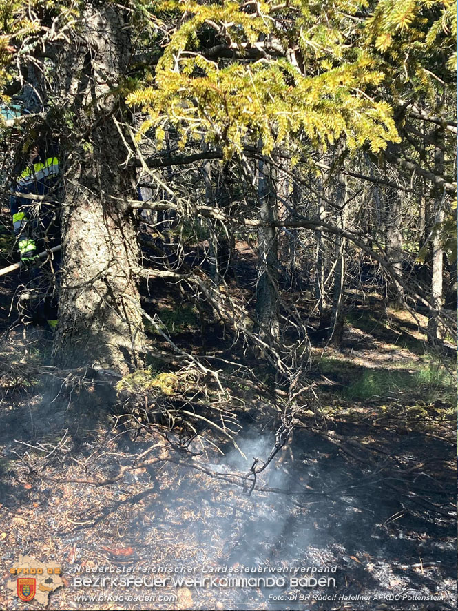 20220816 Waldbrand "Steinwand" Furth a.d.Triesting  Foto: DI Rudolf Hafellner AFKDO Pottenstein