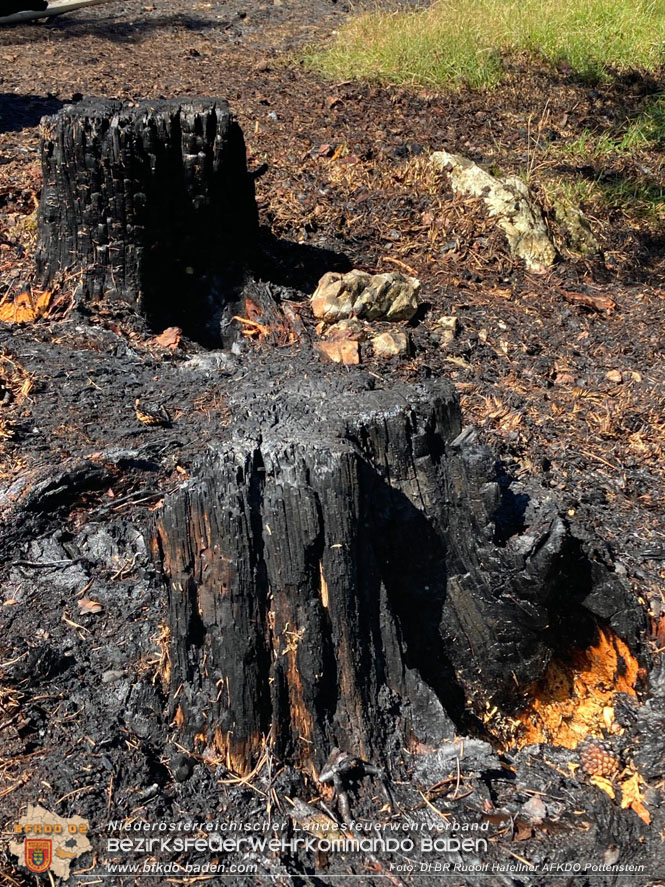 20220816 Waldbrand "Steinwand" Furth a.d.Triesting  Foto: DI Rudolf Hafellner AFKDO Pottenstein