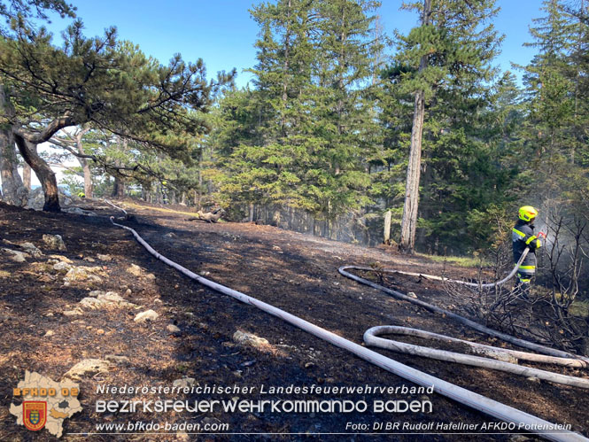 20220816 Waldbrand "Steinwand" Furth a.d.Triesting  Foto: DI Rudolf Hafellner AFKDO Pottenstein