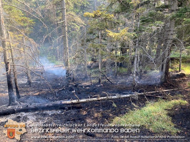 20220816 Waldbrand "Steinwand" Furth a.d.Triesting  Foto: DI Rudolf Hafellner AFKDO Pottenstein