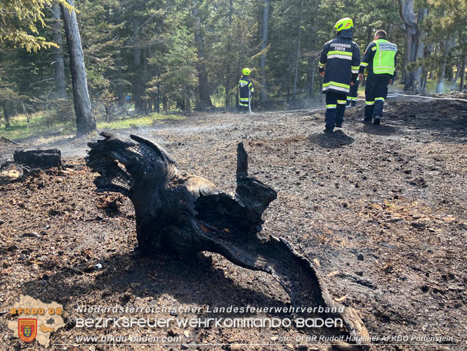 20220816 Waldbrand "Steinwand" Furth a.d.Triesting  Foto: DI Rudolf Hafellner AFKDO Pottenstein