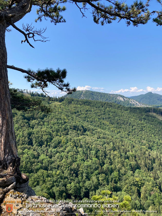 20220816 Waldbrand "Steinwand" Furth a.d.Triesting  Foto: DI Rudolf Hafellner AFKDO Pottenstein