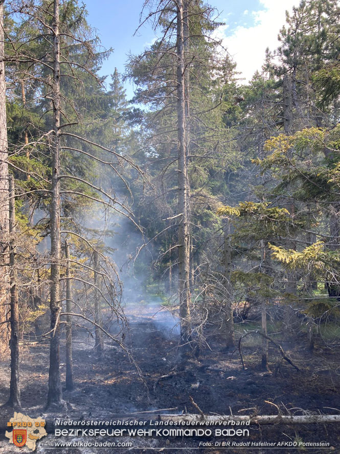 20220816 Waldbrand "Steinwand" Furth a.d.Triesting  Foto: DI Rudolf Hafellner AFKDO Pottenstein