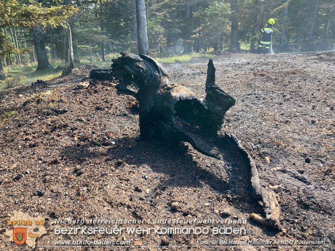 20220816 Waldbrand "Steinwand" Furth a.d.Triesting  Foto: DI Rudolf Hafellner AFKDO Pottenstein