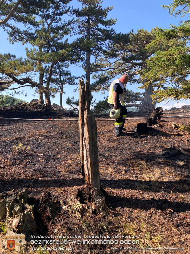 20220816 Waldbrand "Steinwand" Furth a.d.Triesting  Foto: DI Rudolf Hafellner AFKDO Pottenstein