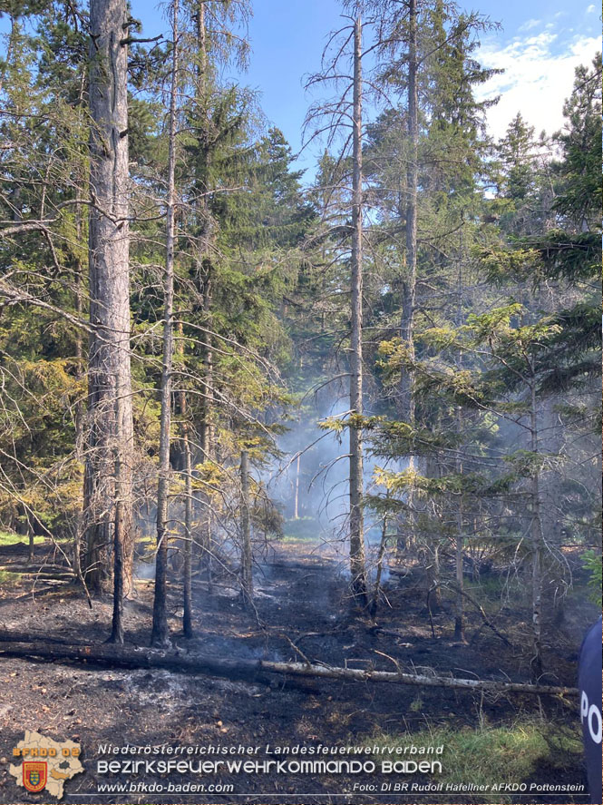 20220816 Waldbrand "Steinwand" Furth a.d.Triesting  Foto: DI Rudolf Hafellner AFKDO Pottenstein