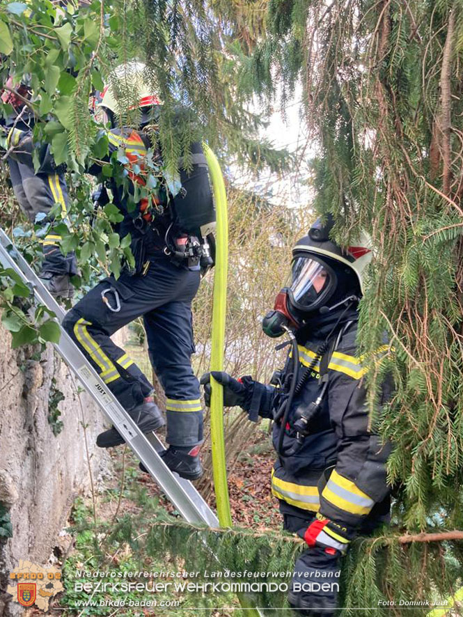 20220304 Brand auf einem Grundstck in Baden Ortsteil Weikersdorf   Foto: Dominik Judt