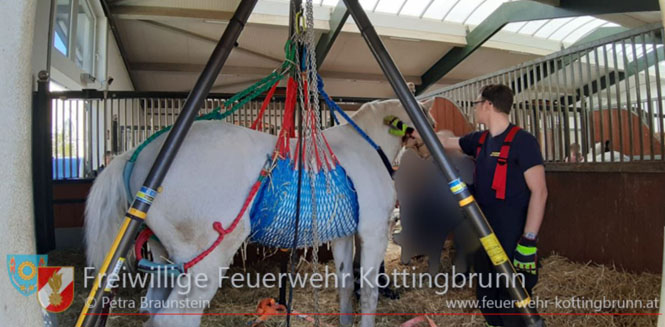 20220414 Bezirksübergreifender Tierrettungseinsatz der FF Kottingbrunn mit Spezial Equipment  Foto: Petra Braunstein FF Kottingbrunn