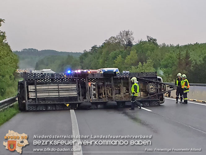 20220513 Umgestürzter Anhänger blockiert die Fahrbahn auf der A21 Foto: Freiwillige Feuerwehr Alland 20220513 Umgestürzter Anhänger blockiert die Fahrbahn auf der A21 Foto: Freiwillige Feuerwehr Alland