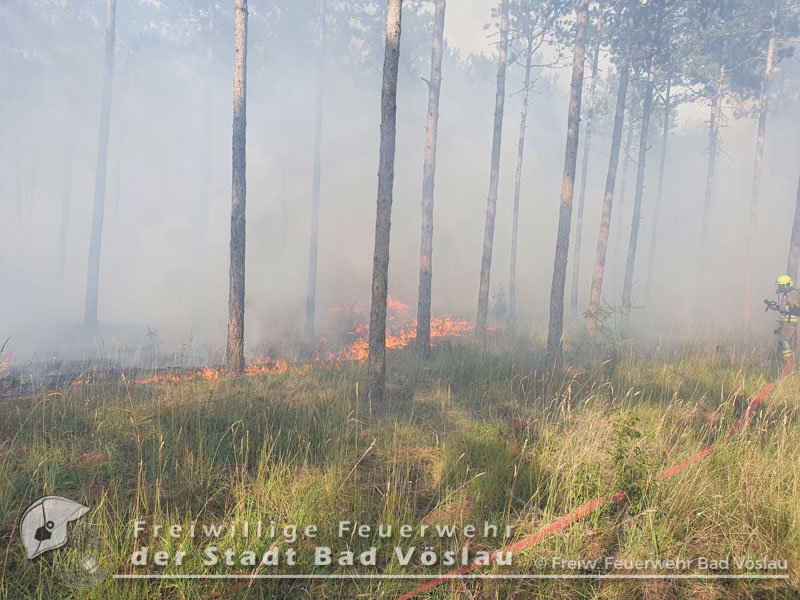 20220713 Großbrand auf Militärgelände in Großmittel  Foto: Freiwillige Feuerwehr Stadt Bad Vöslau