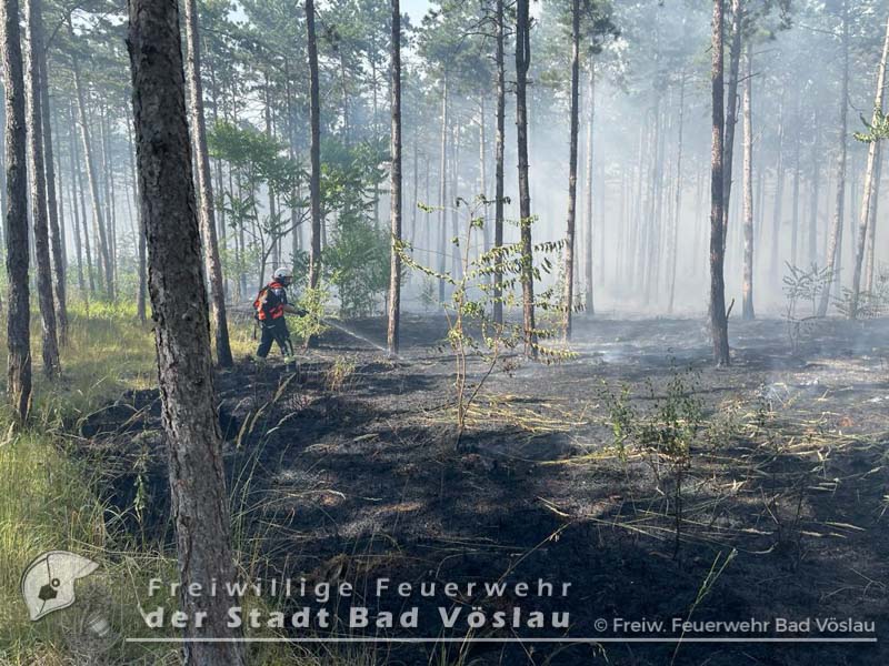 20220713 Großbrand auf Militärgelände in Großmittel  Foto: Freiwillige Feuerwehr Stadt Bad Vöslau