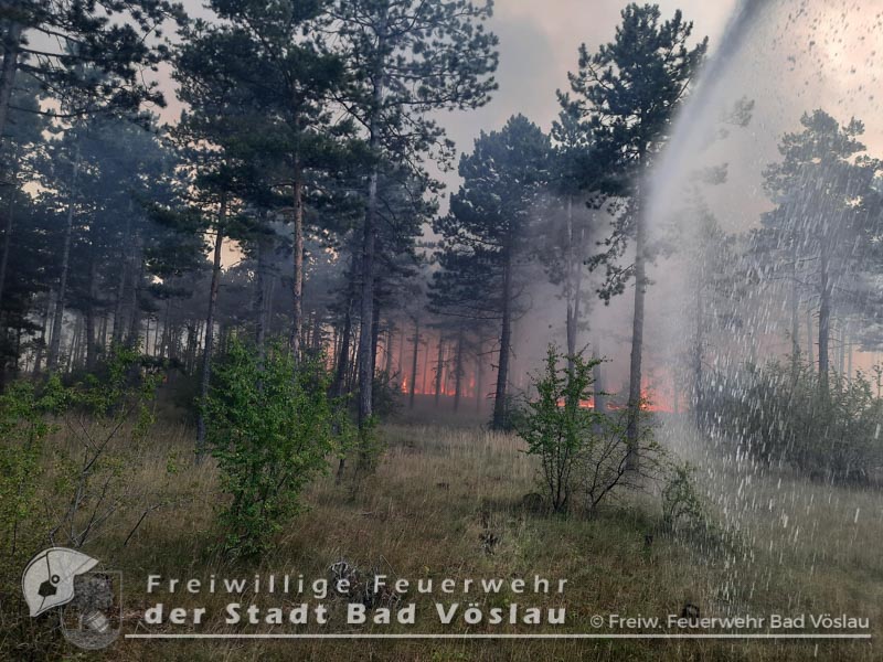 20220713 Großbrand auf Militärgelände in Großmittel  Foto: Freiwillige Feuerwehr Stadt Bad Vöslau