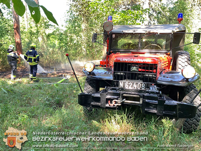 20220805 Beginnender Waldbrand in Lindabrunn-Enzesfeld rechtzeitig entdeckt  Foto: ASB Brend Taxberger BFKDO BADEN