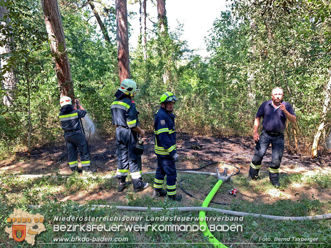 20220805 Beginnender Waldbrand in Lindabrunn-Enzesfeld rechtzeitig entdeckt  Foto: ASB Brend Taxberger BFKDO BADEN