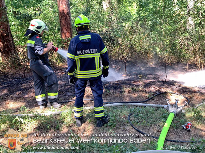 20220805 Beginnender Waldbrand in Lindabrunn-Enzesfeld rechtzeitig entdeckt  Foto: ASB Brend Taxberger BFKDO BADEN