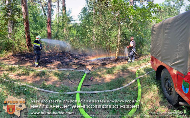 20220805 Beginnender Waldbrand in Lindabrunn-Enzesfeld rechtzeitig entdeckt Foto: ASB Brend Taxberger BFKDO BADEN 20220805 Beginnender Waldbrand in Lindabrunn-Enzesfeld rechtzeitig entdeckt Foto: ASB Brend Taxberger BFKDO BADEN