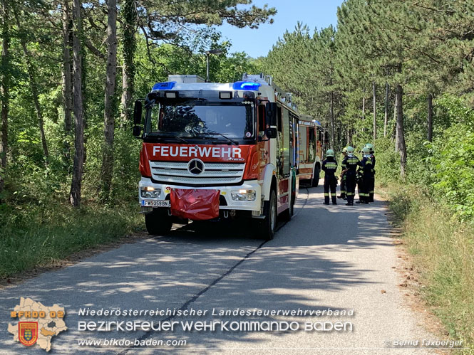 20220805 Beginnender Waldbrand in Lindabrunn-Enzesfeld rechtzeitig entdeckt  Foto: ASB Brend Taxberger BFKDO BADEN