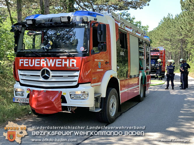 20220805 Beginnender Waldbrand in Lindabrunn-Enzesfeld rechtzeitig entdeckt  Foto: ASB Brend Taxberger BFKDO BADEN