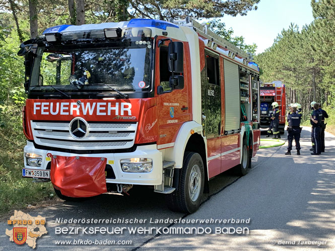 20220805 Beginnender Waldbrand in Lindabrunn-Enzesfeld rechtzeitig entdeckt Foto: ASB Brend Taxberger BFKDO BADEN 20220805 Beginnender Waldbrand in Lindabrunn-Enzesfeld rechtzeitig entdeckt Foto: ASB Brend Taxberger BFKDO BADEN