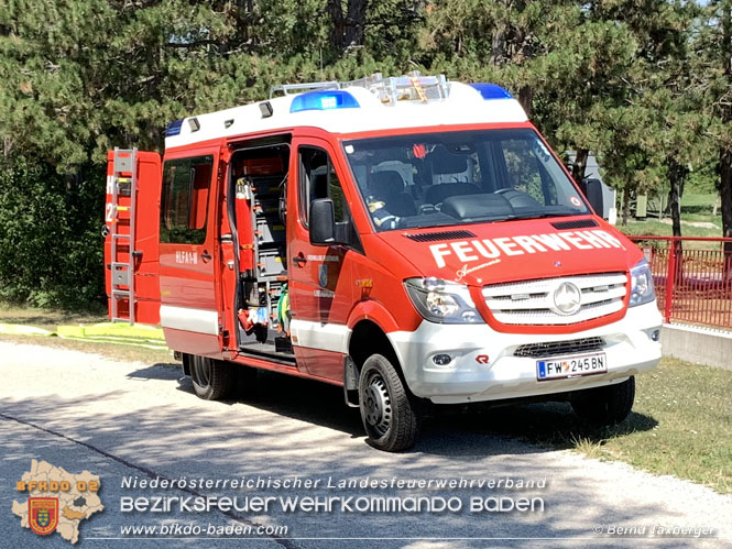 20220805 Beginnender Waldbrand in Lindabrunn-Enzesfeld rechtzeitig entdeckt  Foto: ASB Brend Taxberger BFKDO BADEN