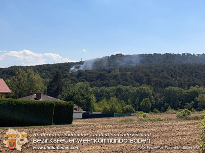 20220805 Beginnender Waldbrand in Lindabrunn-Enzesfeld rechtzeitig entdeckt  Foto: FF Enzesfeld