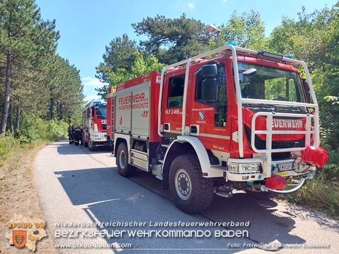 20220805 Beginnender Waldbrand in Lindabrunn-Enzesfeld rechtzeitig entdeckt  Foto: FF Enzesfeld