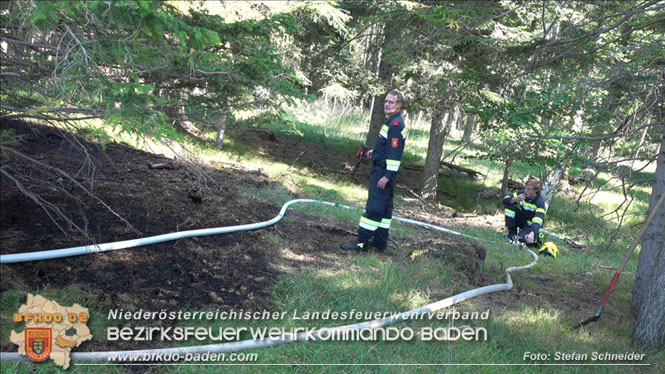 20220816 Waldbrand "Steinwand" Furth a.d.Triesting Foto: Stefan Schneider BFKDO BADEN