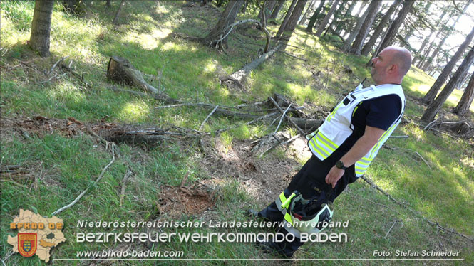 20220816 Waldbrand "Steinwand" Furth a.d.Triesting Foto: Stefan Schneider BFKDO BADEN