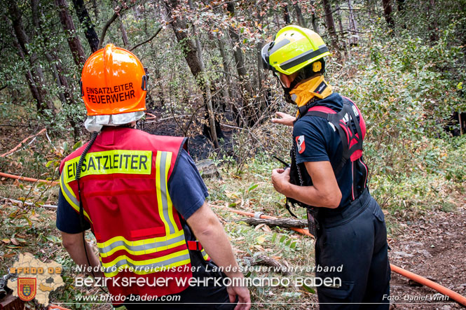 20220820 Alarmstufe 3 bei Waldbrand am Harzberg   Foto: Daniel Wirth