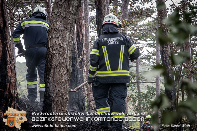 20220820 Alarmstufe 3 bei Waldbrand am Harzberg   Foto: Daniel Wirth