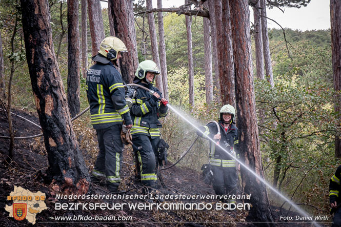 20220820 Alarmstufe 3 bei Waldbrand am Harzberg   Foto: Daniel Wirth