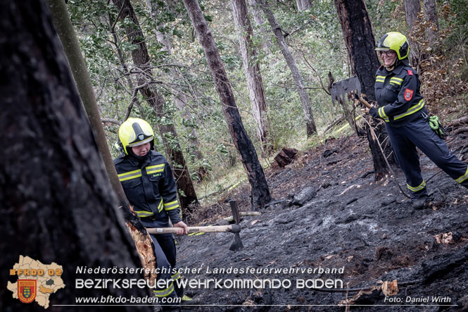 20220820 Alarmstufe 3 bei Waldbrand am Harzberg   Foto: Daniel Wirth