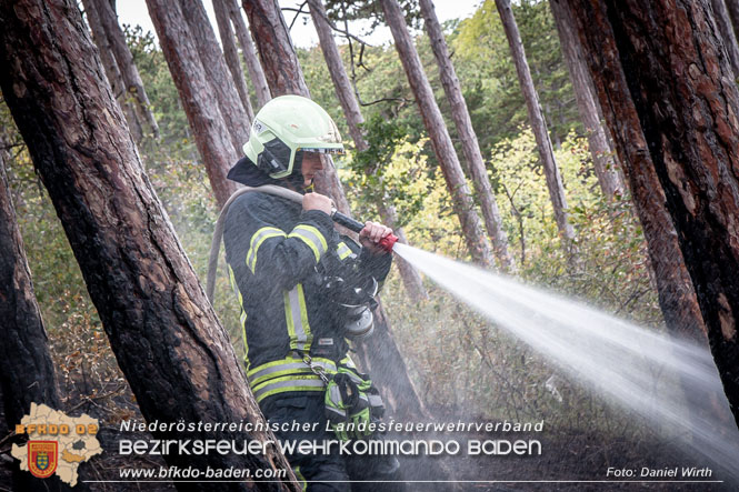 20220820 Alarmstufe 3 bei Waldbrand am Harzberg   Foto: Daniel Wirth