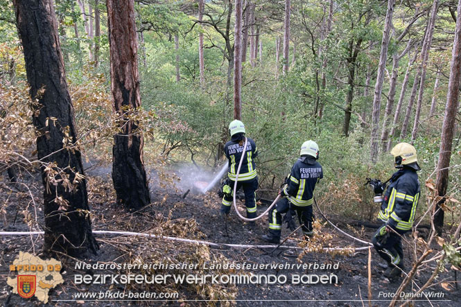 20220820 Alarmstufe 3 bei Waldbrand am Harzberg   Foto: Daniel Wirth