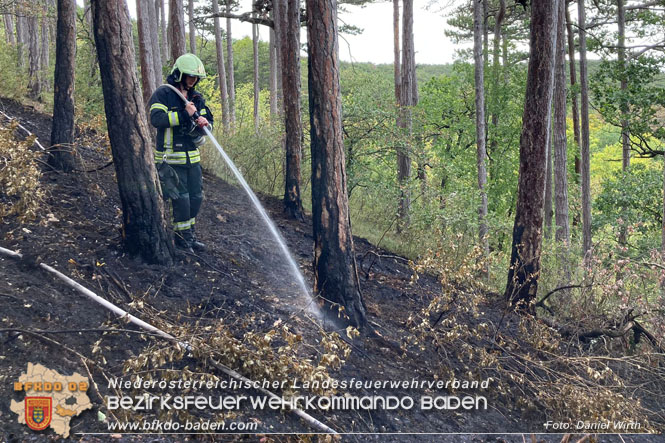 20220820 Alarmstufe 3 bei Waldbrand am Harzberg   Foto: Daniel Wirth