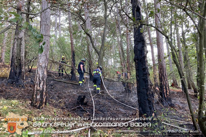 20220820 Alarmstufe 3 bei Waldbrand am Harzberg   Foto: Daniel Wirth