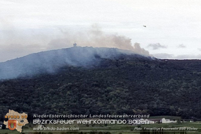 20220820 Alarmstufe 3 bei Waldbrand am Harzberg   Foto: FF Bad Vslau