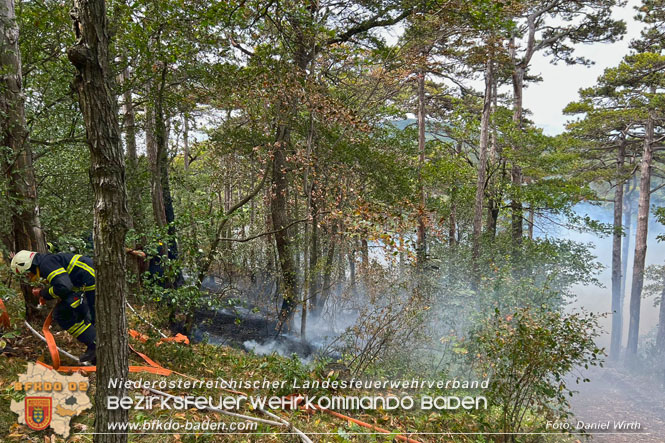20220820 Alarmstufe 3 bei Waldbrand am Harzberg Foto: FF Bad Vöslau 20220820 Alarmstufe 3 bei Waldbrand am Harzberg Foto: FF Bad Vöslau