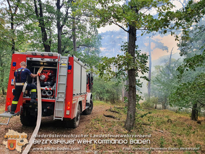 20220820 Alarmstufe 3 bei Waldbrand am Harzberg   Foto: FF Bad Weikersdorf