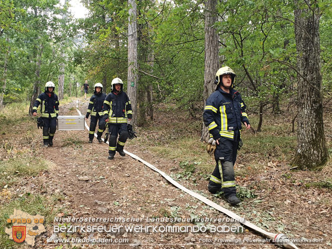 20220820 Alarmstufe 3 bei Waldbrand am Harzberg   Foto: FF Bad Weikersdorf