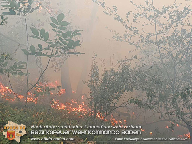 20220820 Alarmstufe 3 bei Waldbrand am Harzberg   Foto: FF Bad Weikersdorf