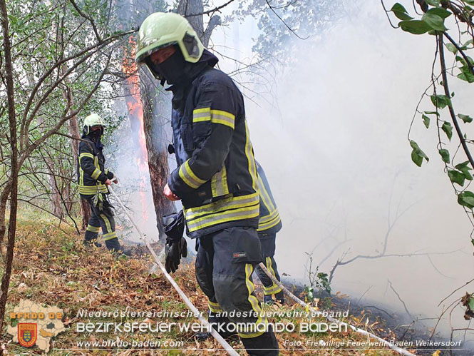 20220820 Alarmstufe 3 bei Waldbrand am Harzberg   Foto: FF Bad Weikersdorf