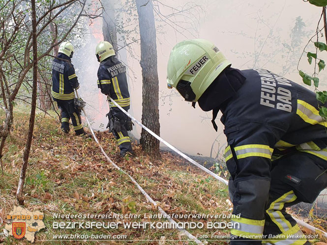 20220820 Alarmstufe 3 bei Waldbrand am Harzberg   Foto: FF Bad Weikersdorf